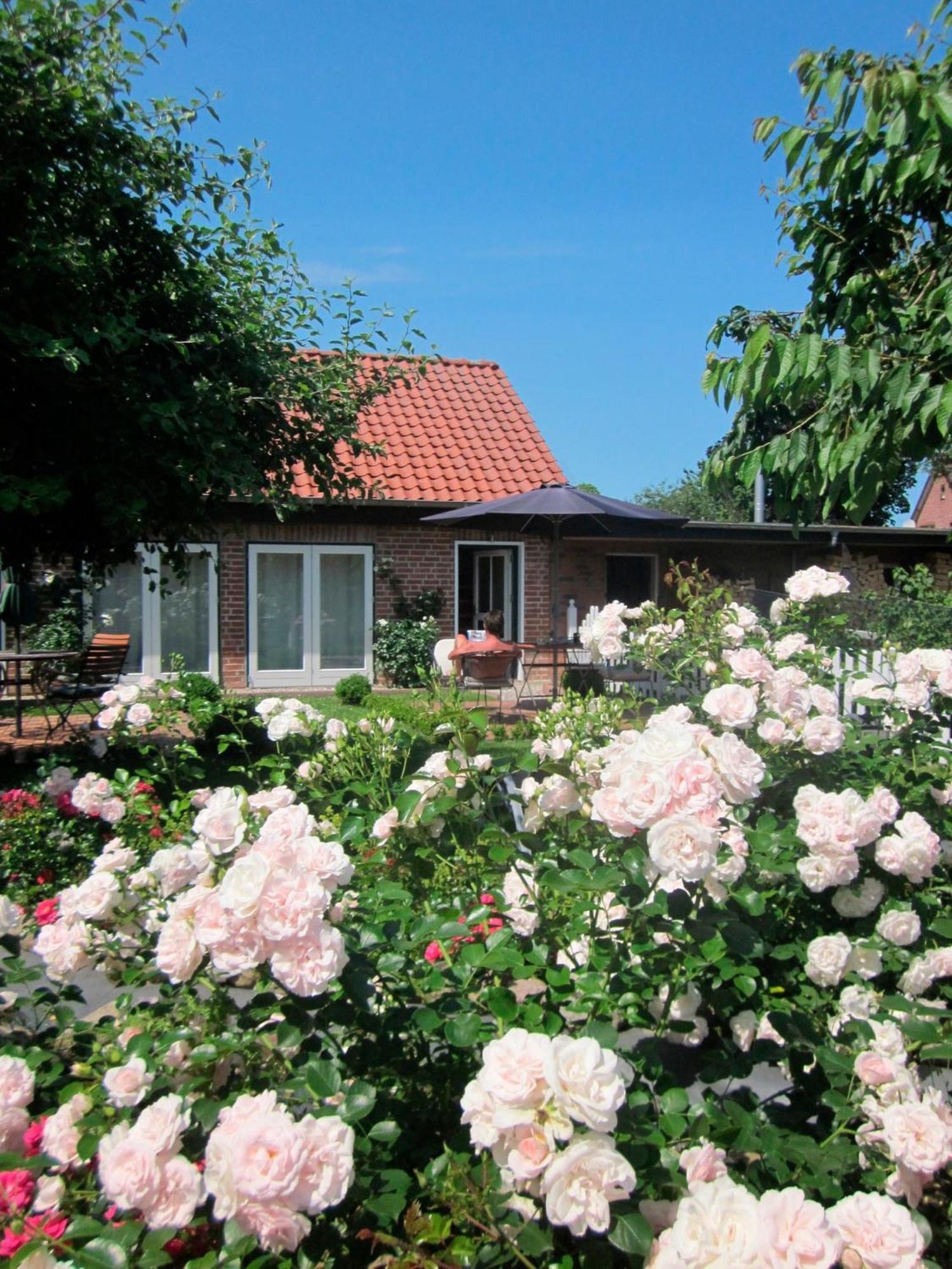 "Rosenkate 1" Apartment Riepsdorf Exterior photo